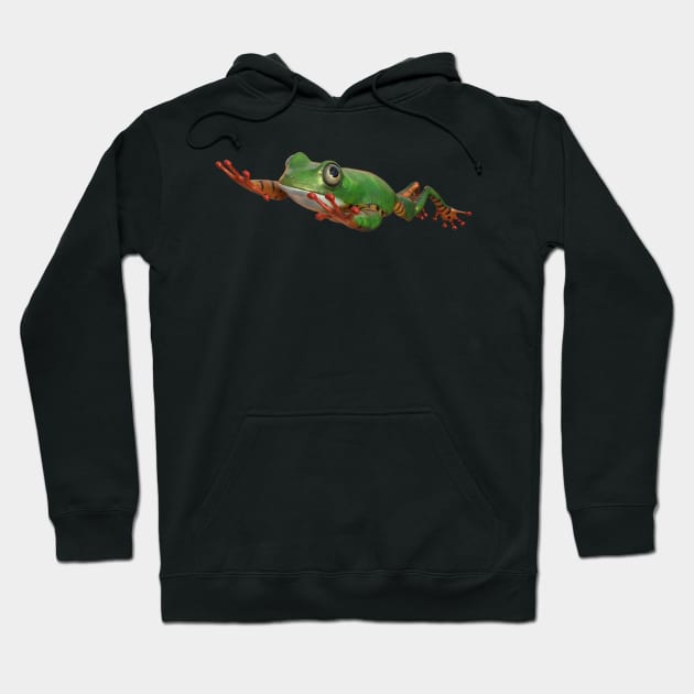 Tiger tree frog in Brazil tropical amazon rain forest Hoodie by Carlosr1946